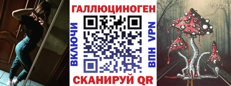 Галлюциногенные грибы Cubensis  где найти   Строитель 